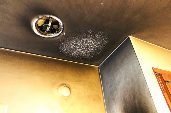 Smoke Damage Remediation in Estero